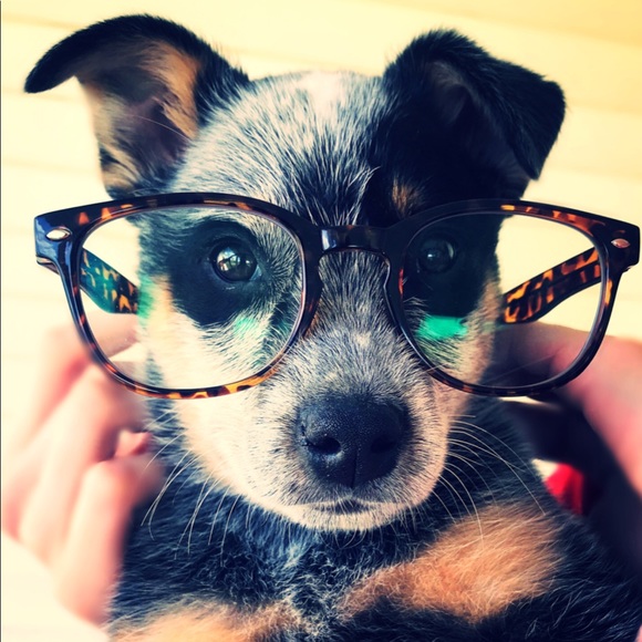 Welcome, come say hello!💕✨ - Picture 1 of 11